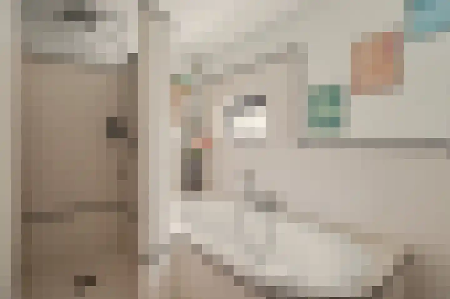 Rozenbloemstraat 25 Made thumbnail 26