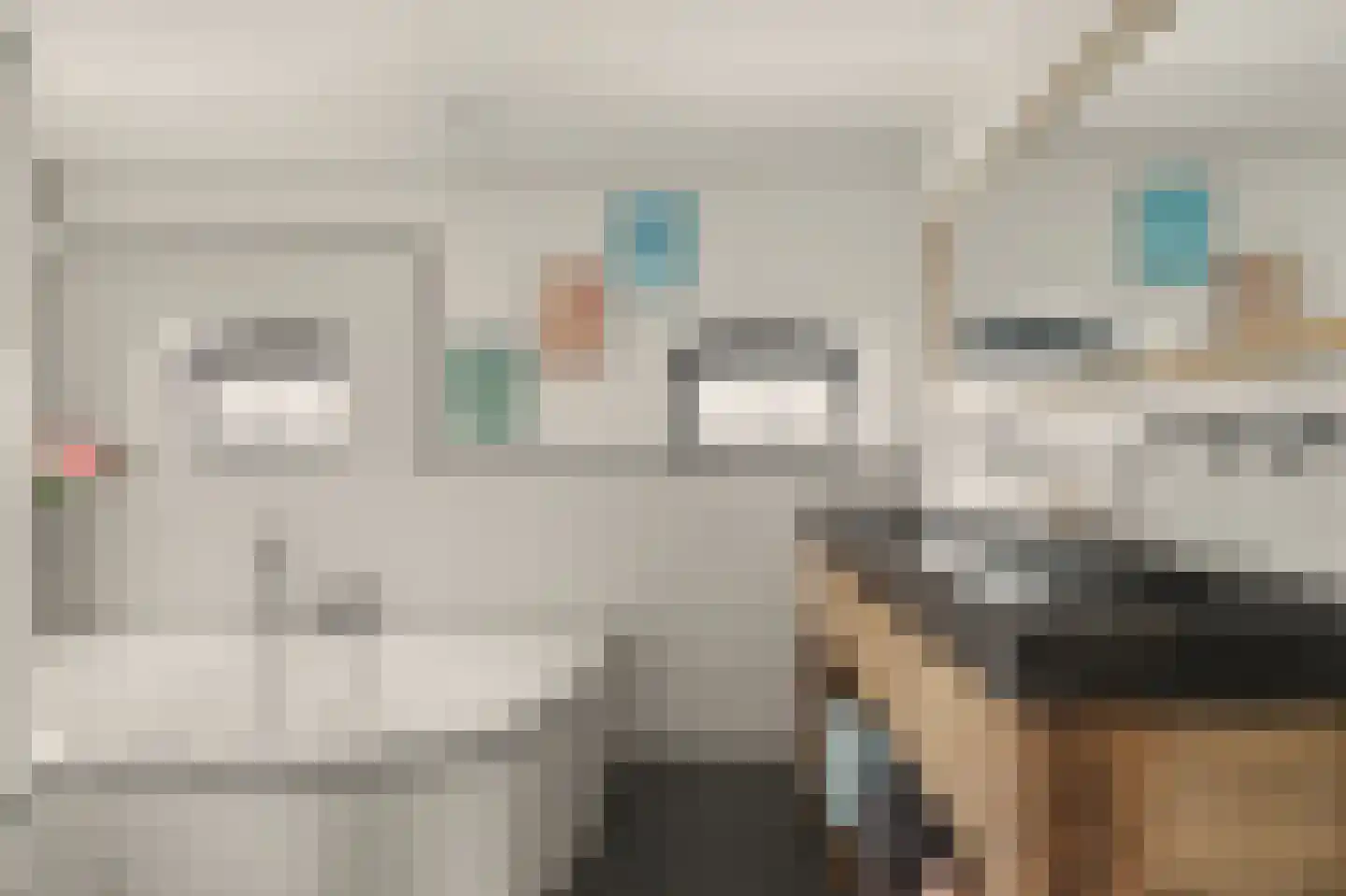 Rozenbloemstraat 25 Made thumbnail 27