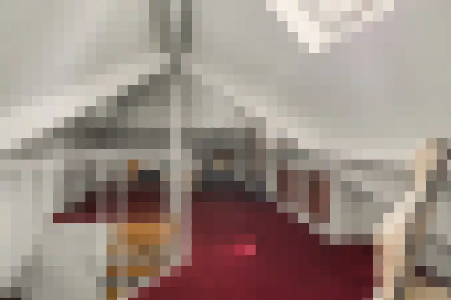 Rozenbloemstraat 25 Made thumbnail 34