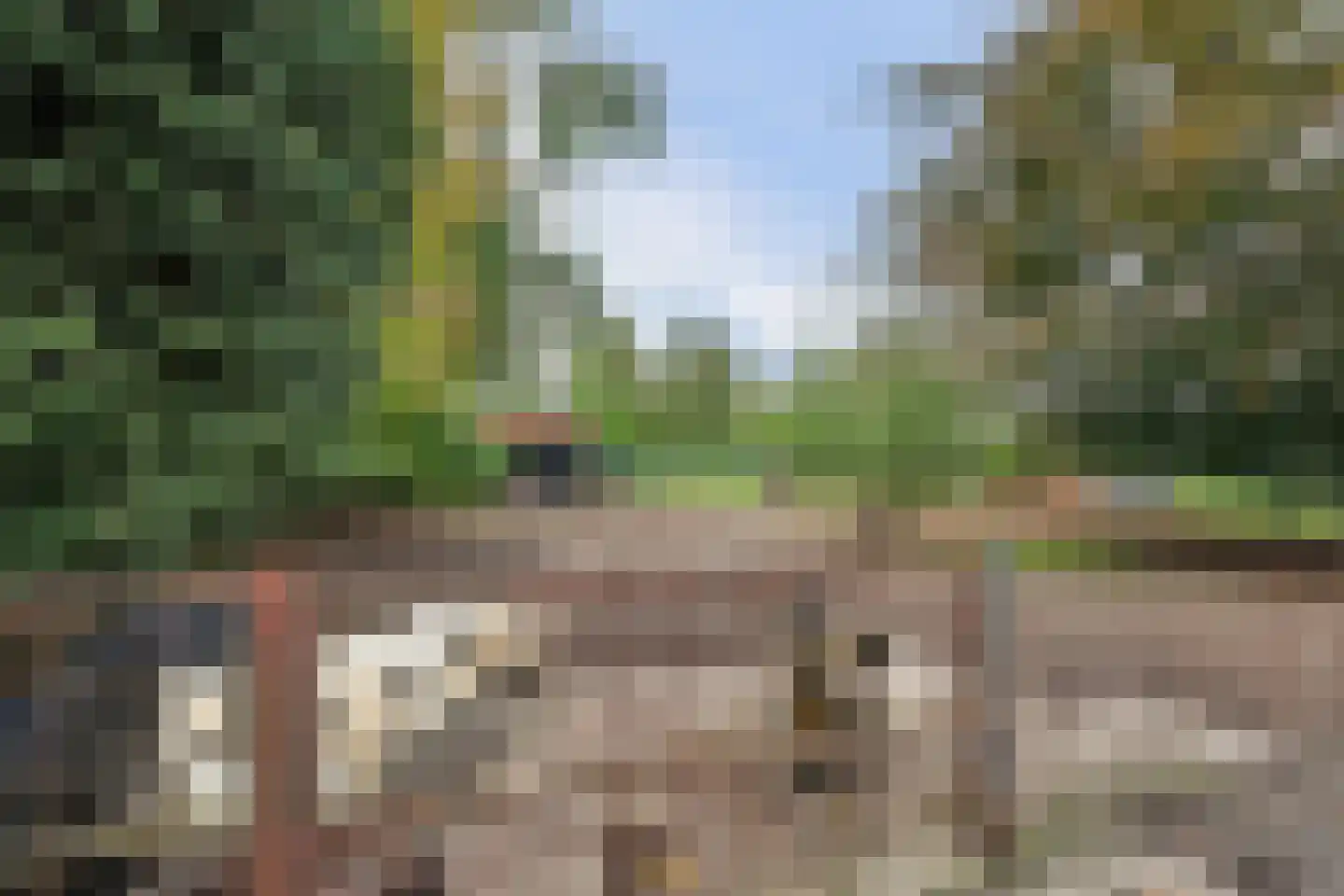 Rozenbloemstraat 25 Made thumbnail 50