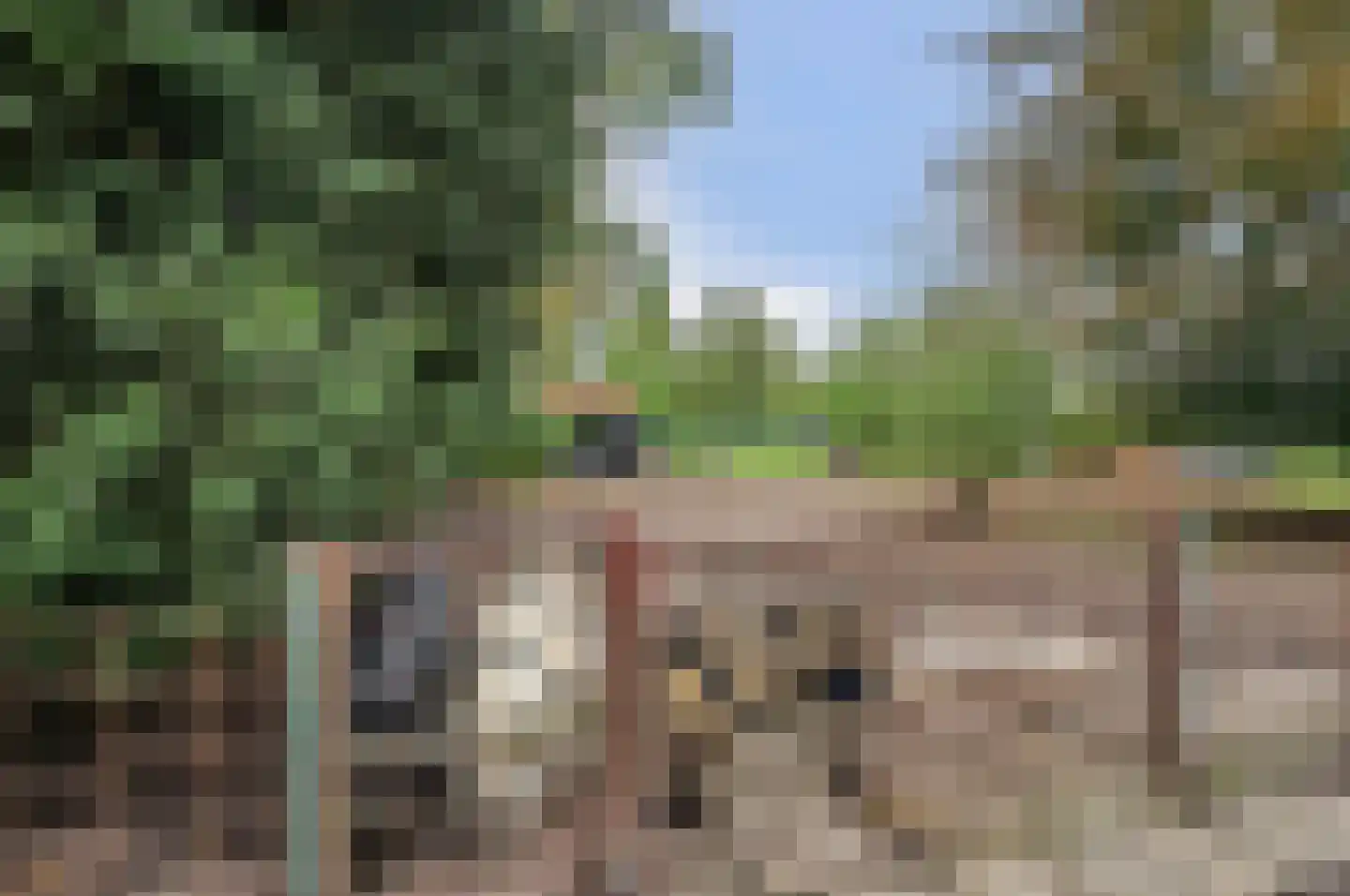 Rozenbloemstraat 25 Made thumbnail 51