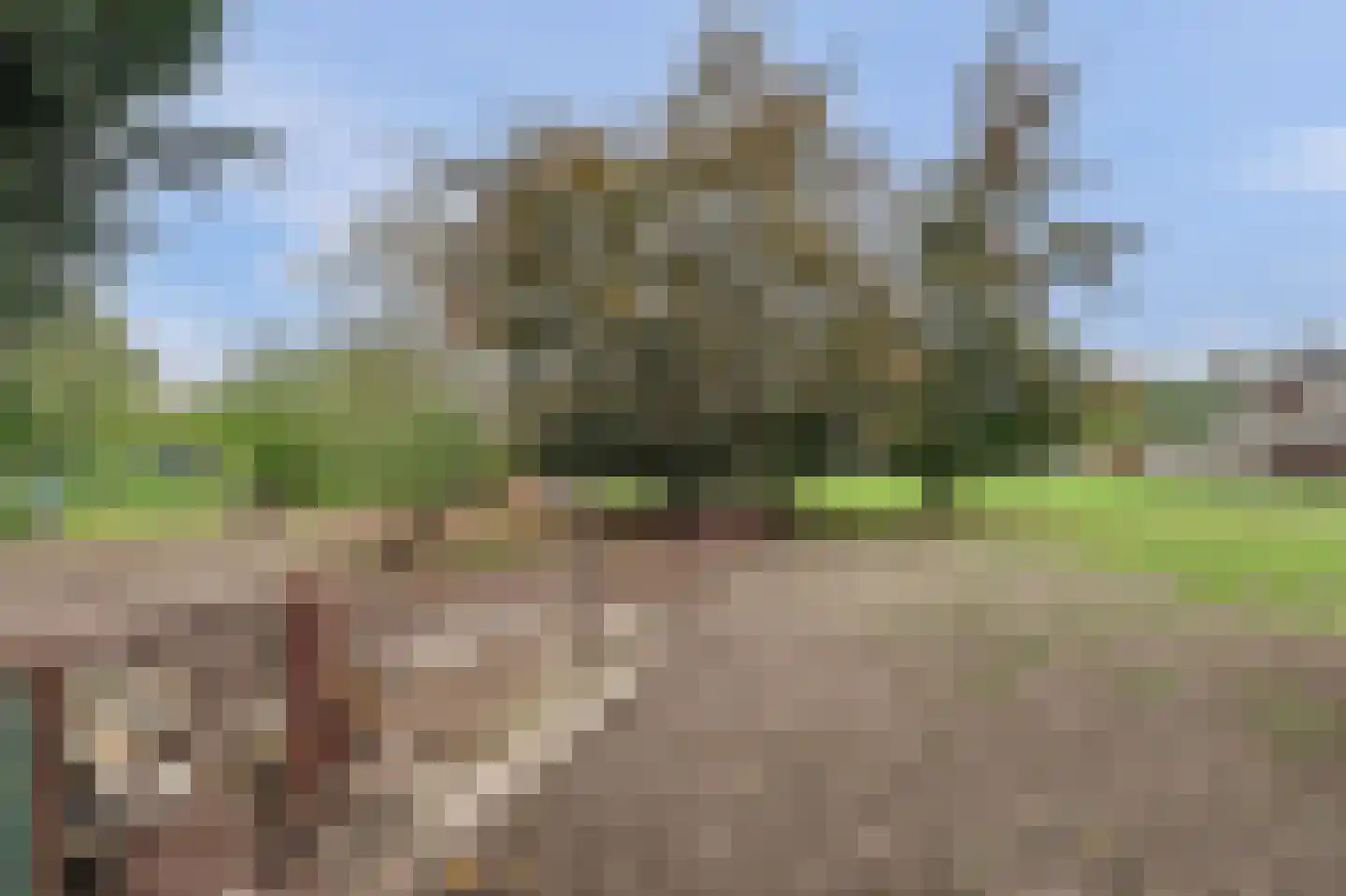 Rozenbloemstraat 25 Made thumbnail 52