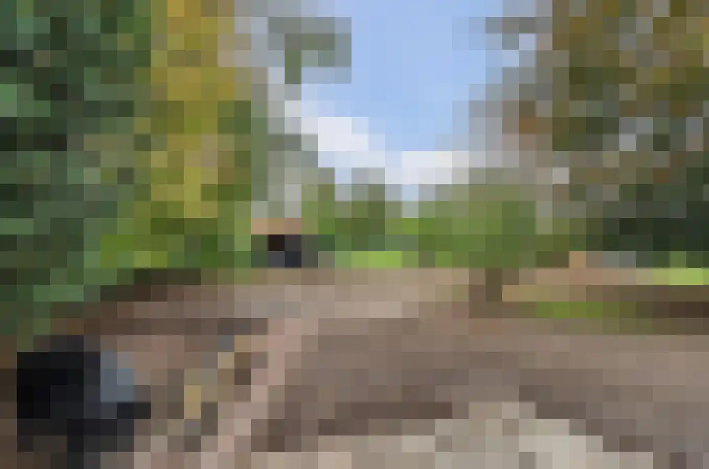 Rozenbloemstraat 25 Made thumbnail 53