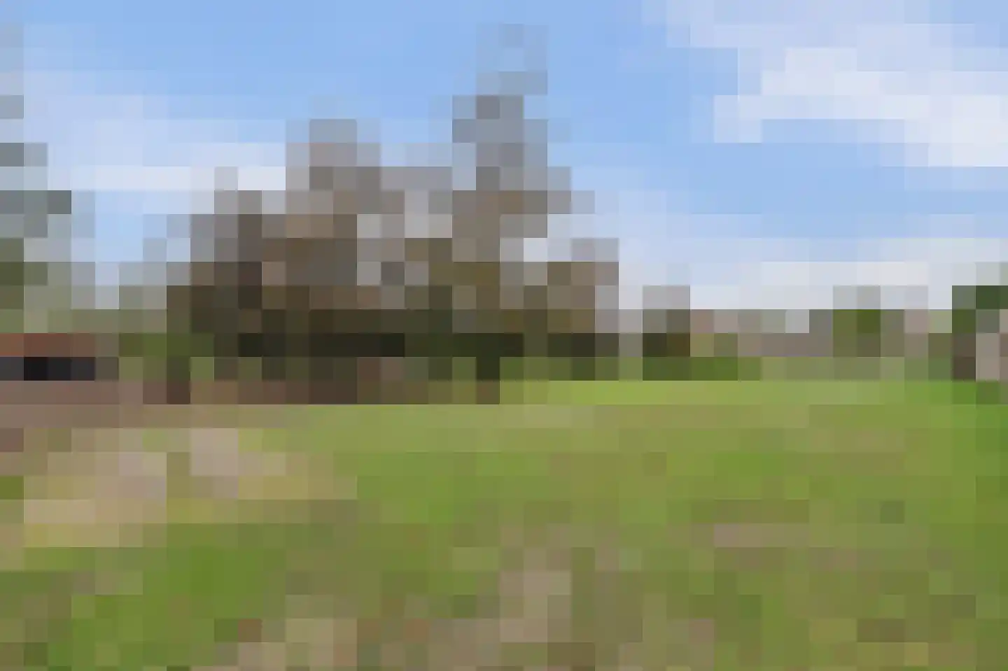 Rozenbloemstraat 25 Made thumbnail 54