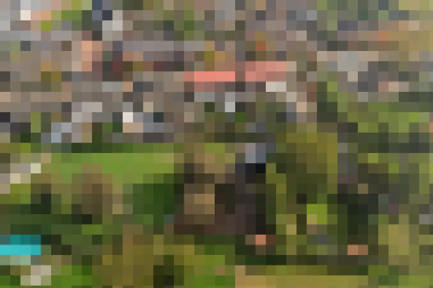 Rozenbloemstraat 25 Made thumbnail 58