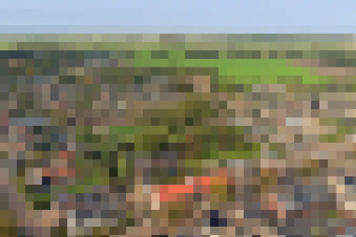 Rozenbloemstraat 25 Made thumbnail 64