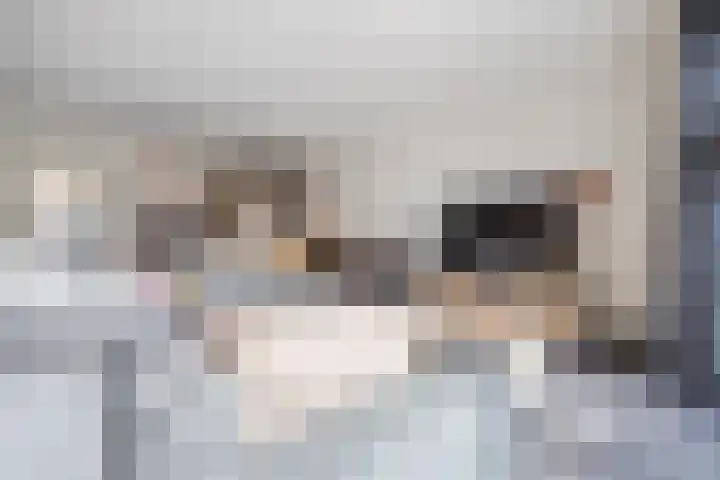 Rozenbloemstraat 26 Made thumbnail 13