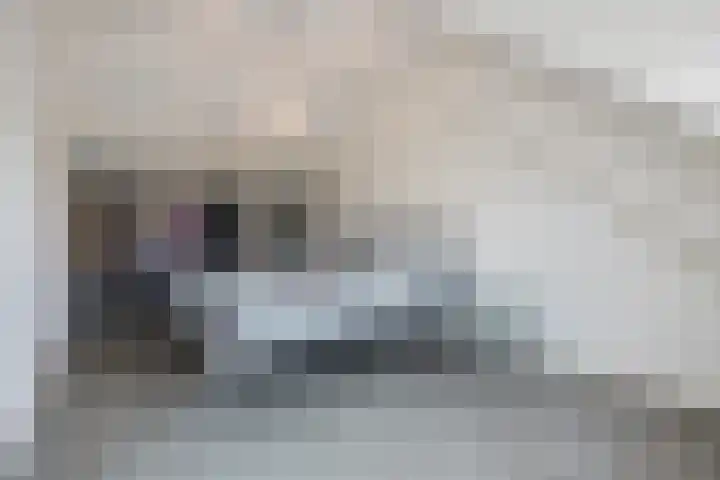Rozenbloemstraat 26 Made thumbnail 41