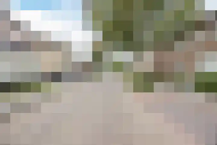 Rozenbloemstraat 26 Made thumbnail 50