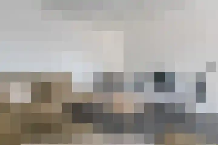 Rozenbloemstraat 7 Made thumbnail 14