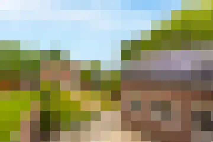 Rozenbloemstraat 7 Made thumbnail 37