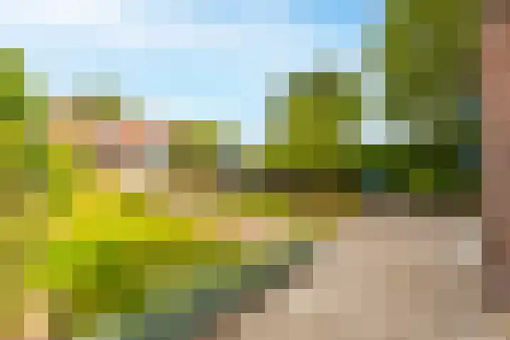 Rozenbloemstraat 7 Made thumbnail 38