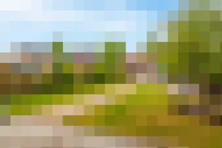 Rozenbloemstraat 7 Made thumbnail 39