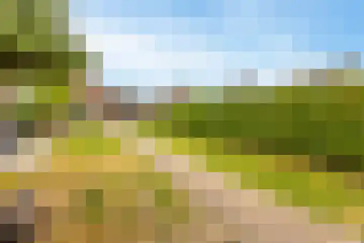 Rozenbloemstraat 7 Made thumbnail 44