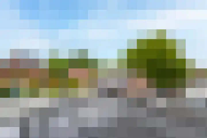 Rozenbloemstraat 7 Made thumbnail 45