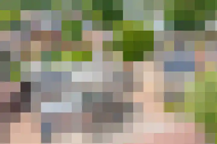 Rozenbloemstraat 7 Made thumbnail 46