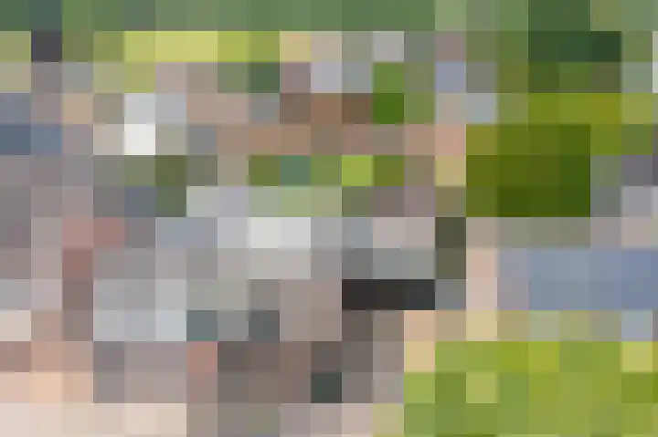 Rozenbloemstraat 7 Made thumbnail 47