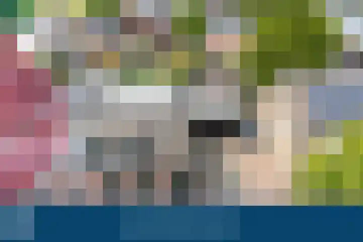 Rozenbloemstraat 7 Made thumbnail 5