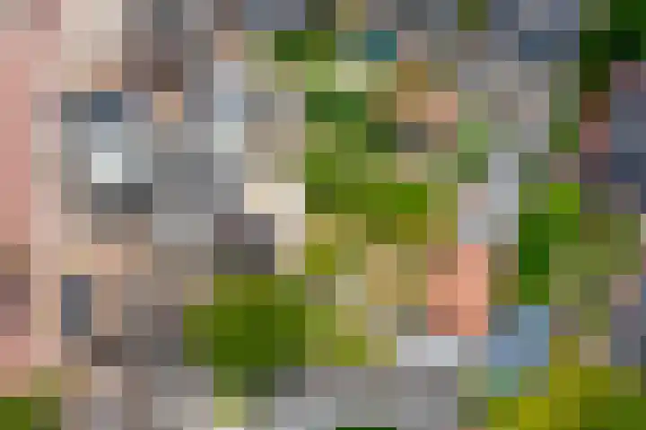 Rozenbloemstraat 7 Made thumbnail 51