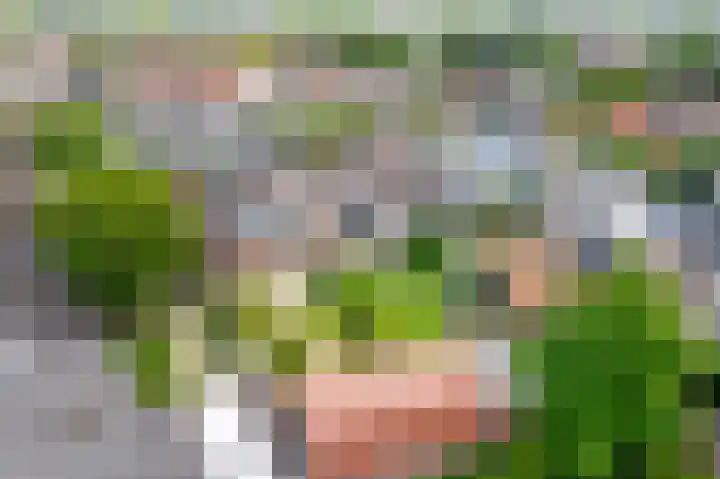 Rozenbloemstraat 7 Made thumbnail 52
