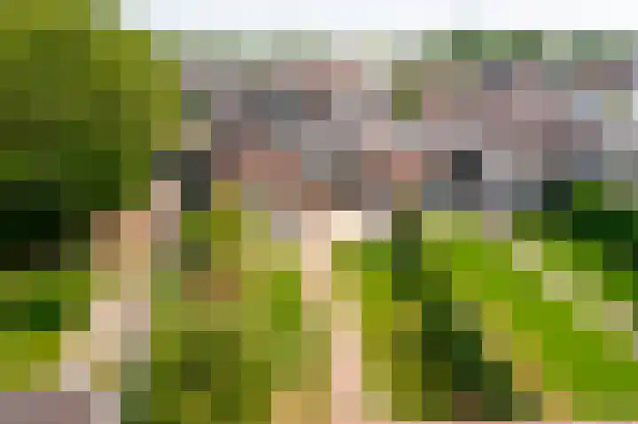 Rozenbloemstraat 7 Made thumbnail 53
