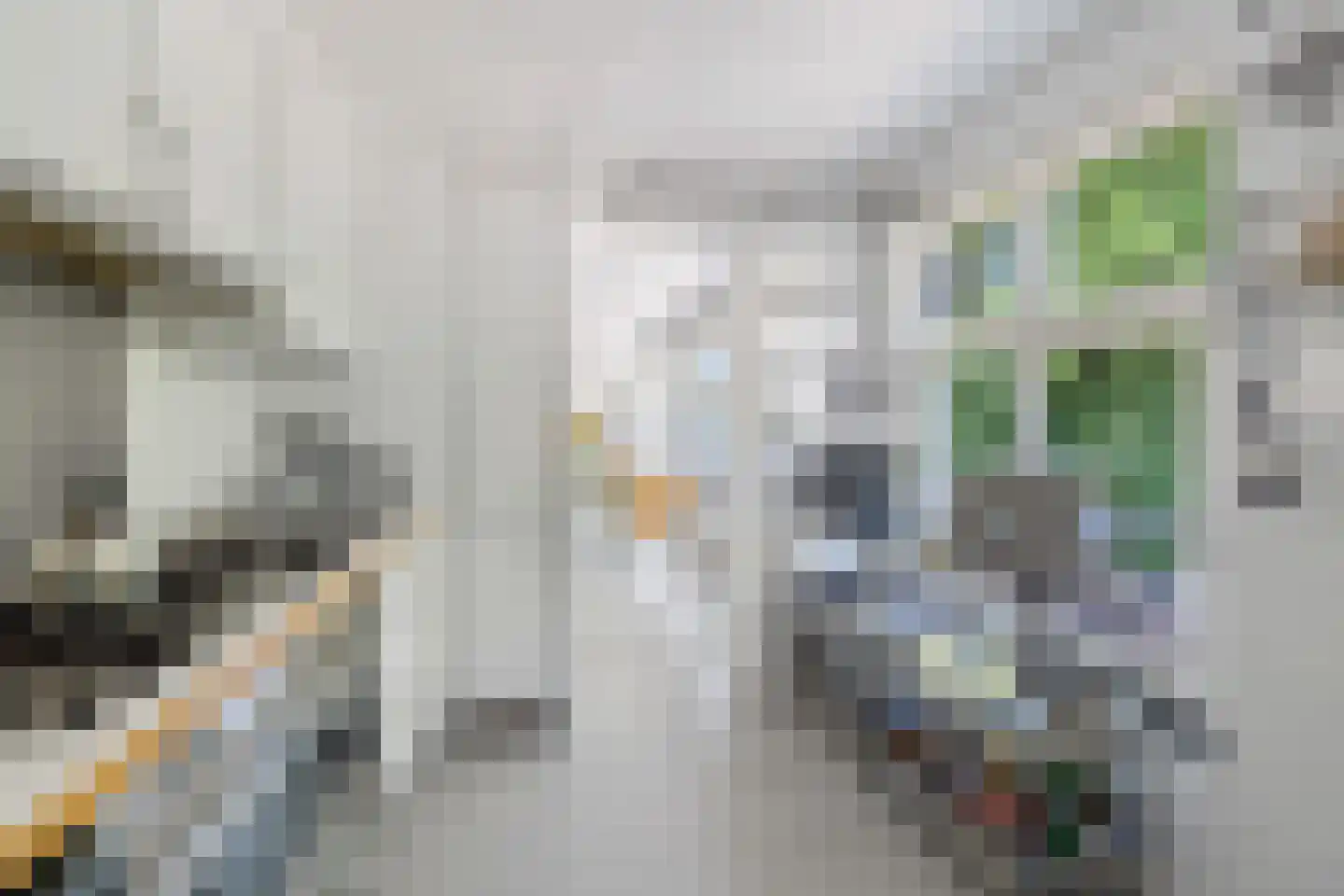 Rozenboomlaan 1 T Voorburg thumbnail 14