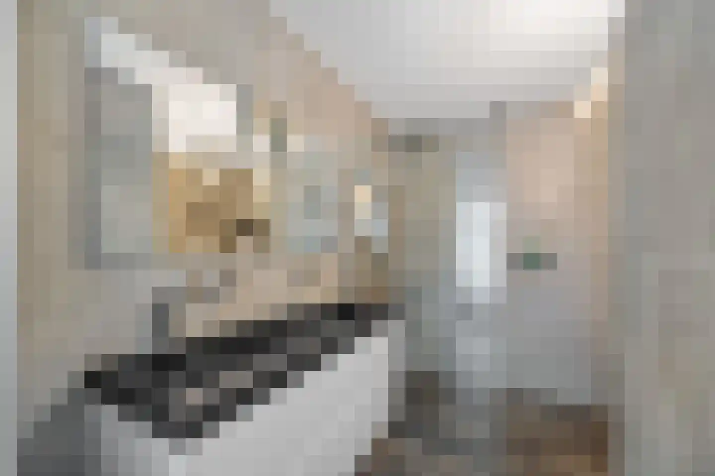 Rozenboomlaan 1 T Voorburg thumbnail 25