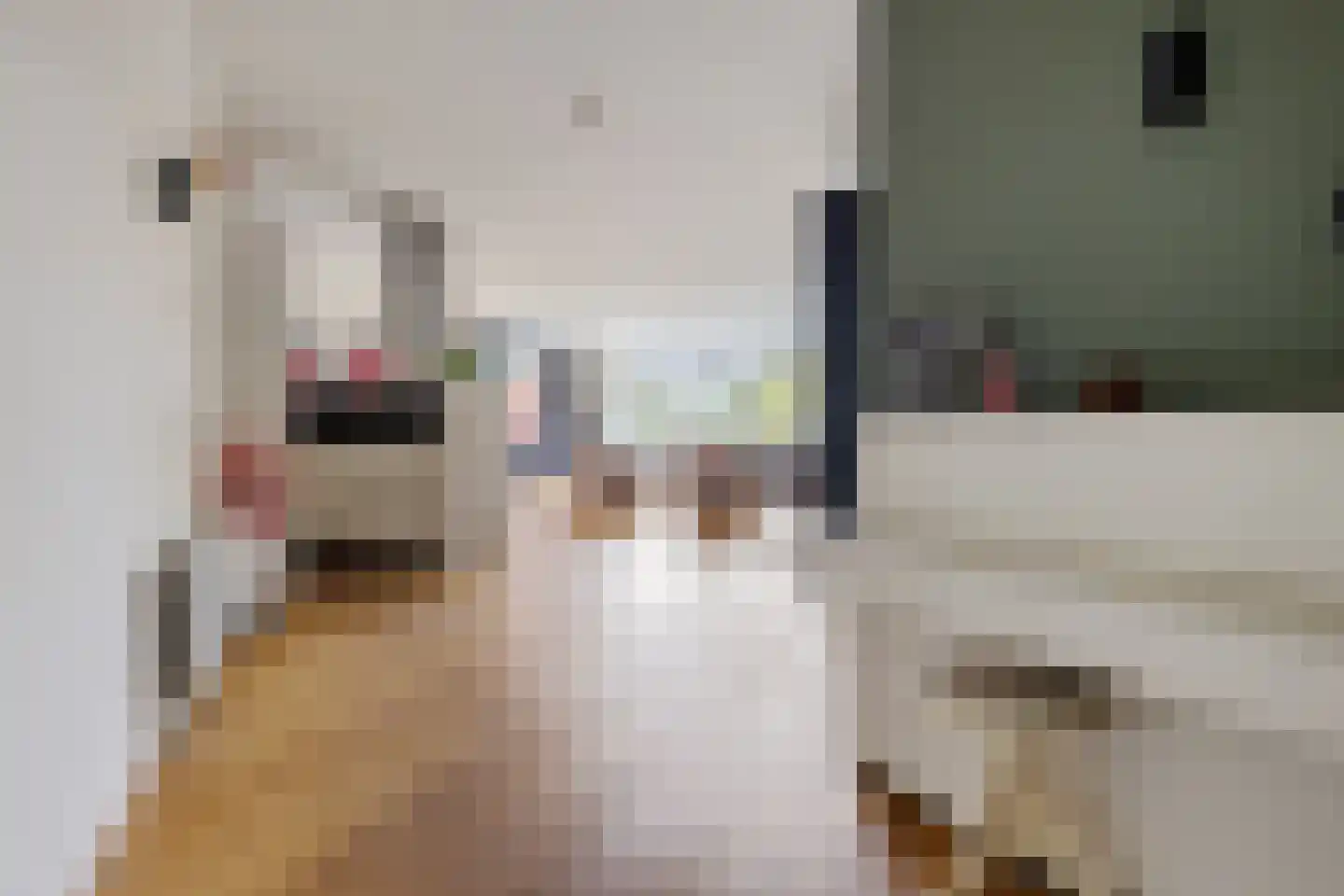 Rozenboomlaan 141 Voorburg thumbnail 17