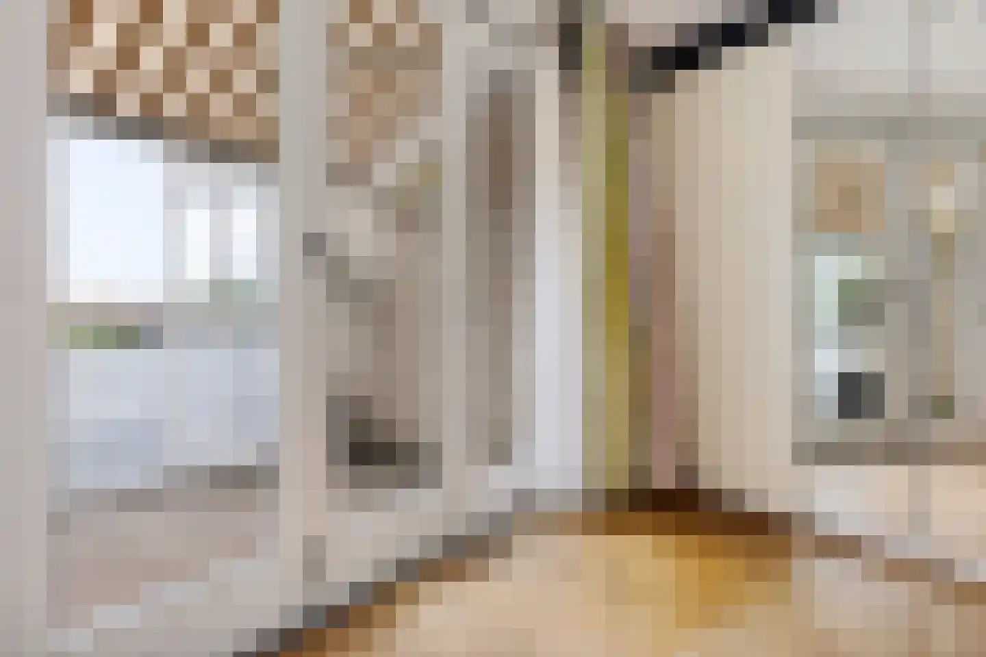 Rozenboomlaan 141 Voorburg thumbnail 23