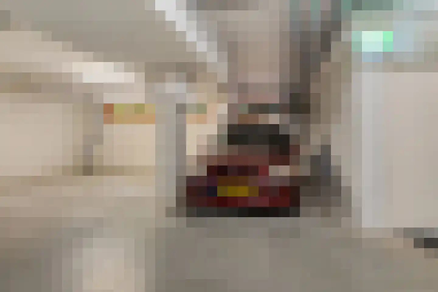 Rozenboomlaan 141 Voorburg thumbnail 37
