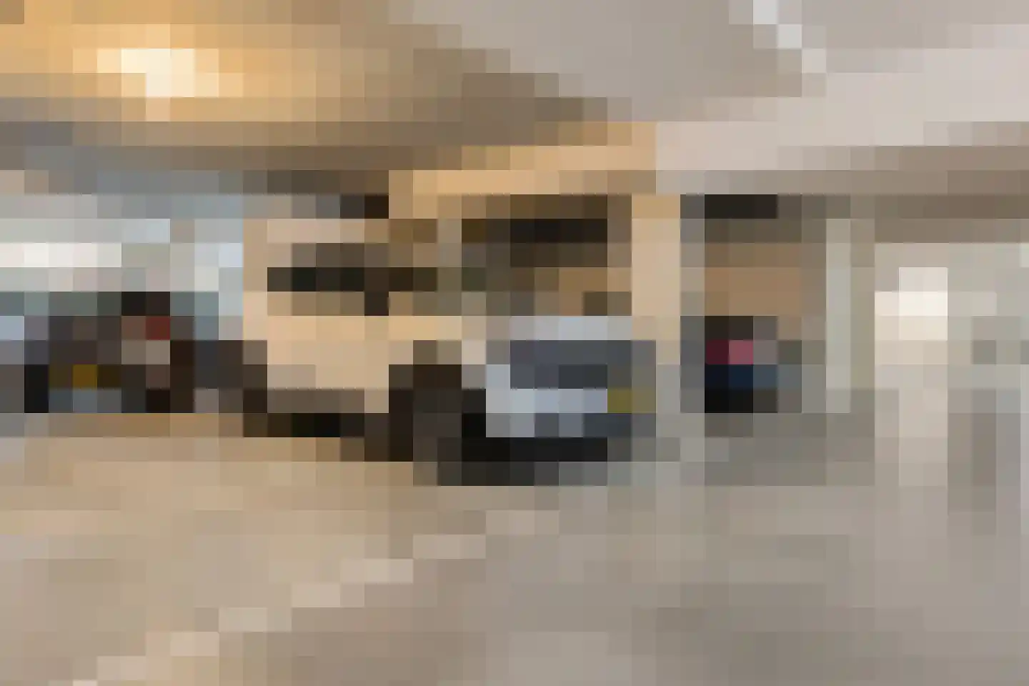 Rozenboomlaan 141 Voorburg thumbnail 38