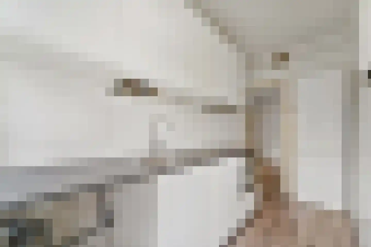 Rozenboomlaan 160 Voorburg thumbnail 26