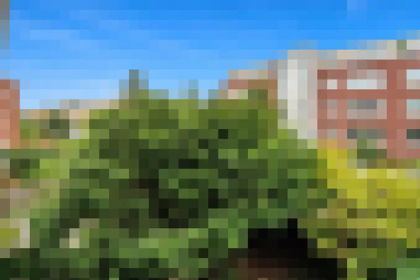 Rozenboomlaan 160 Voorburg thumbnail 30