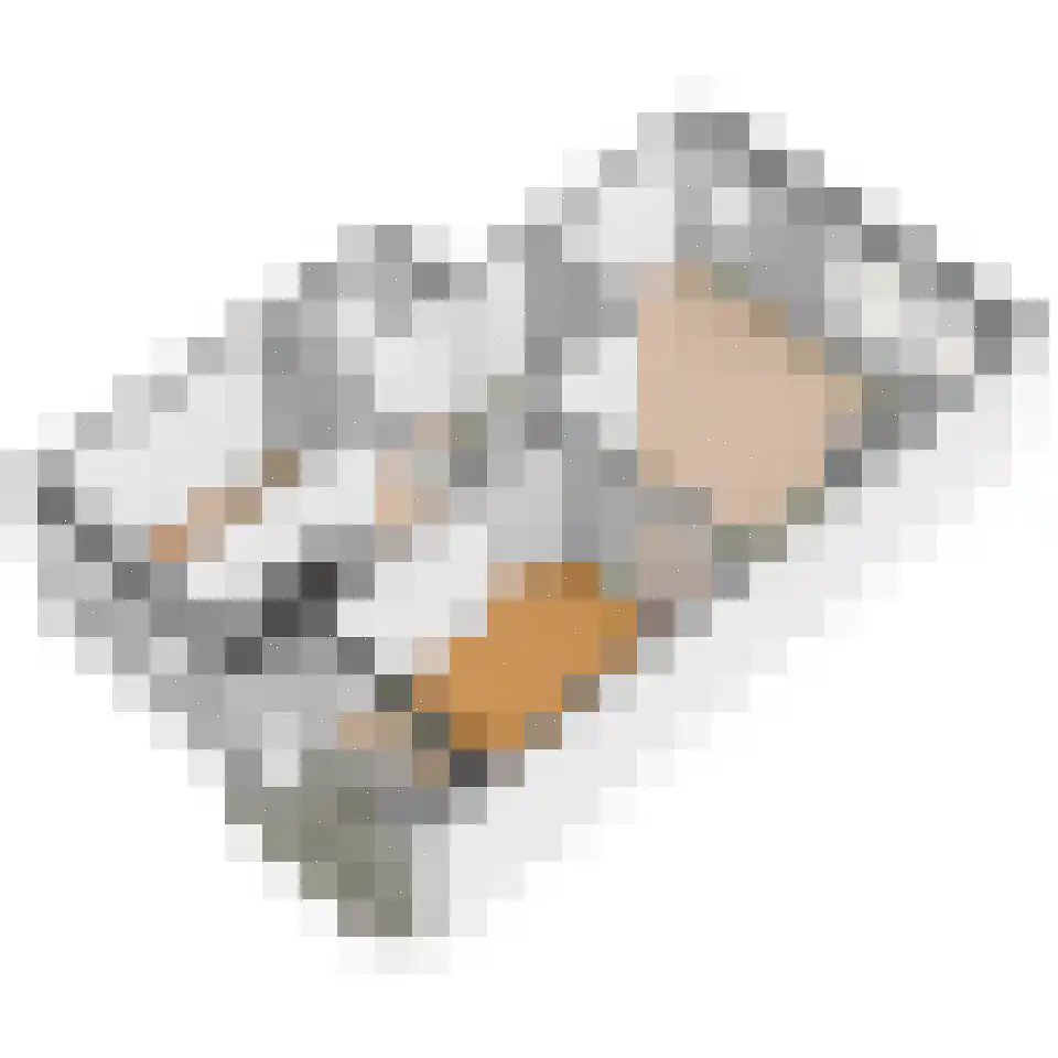 Rozenboomlaan 160 Voorburg thumbnail 36