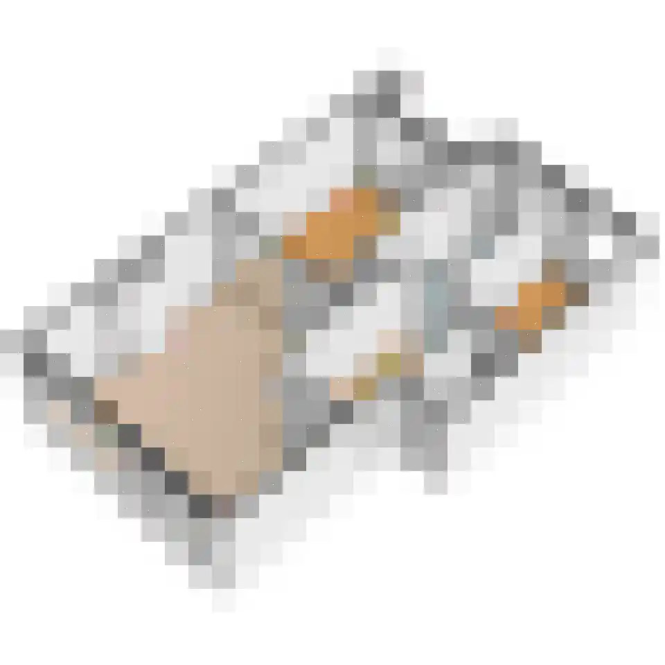 Rozenboomlaan 160 Voorburg thumbnail 38