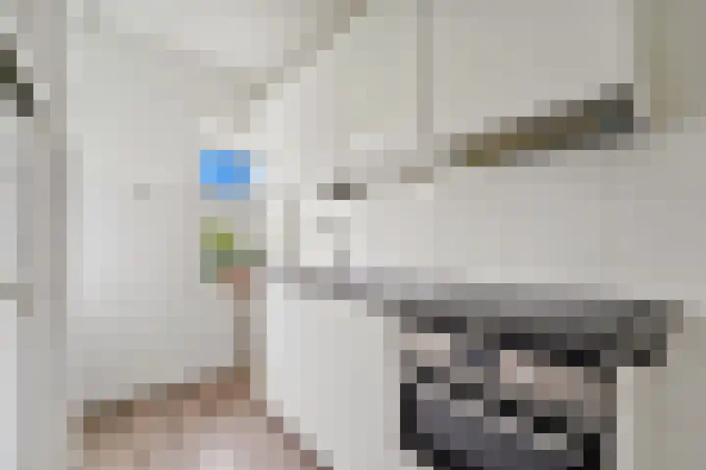 Rozenboomlaan 160 Voorburg thumbnail 9