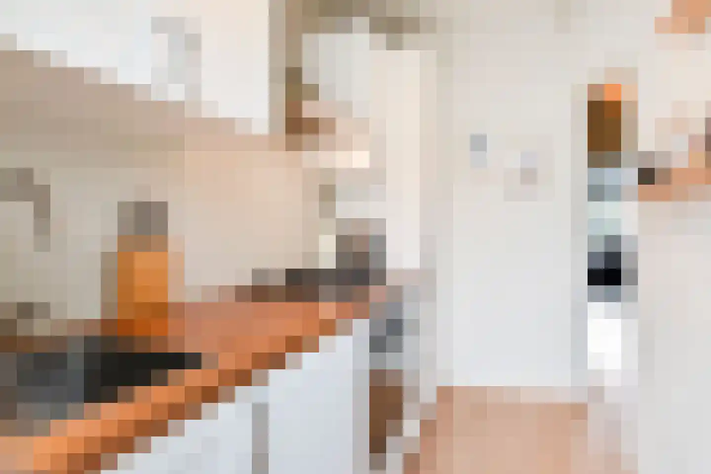 Rozenboomlaan 184 Voorburg thumbnail 18