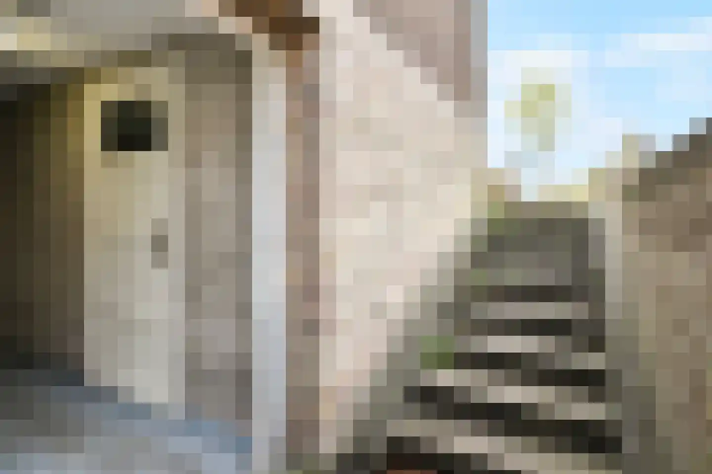 Rozenboomlaan 184 Voorburg thumbnail 24
