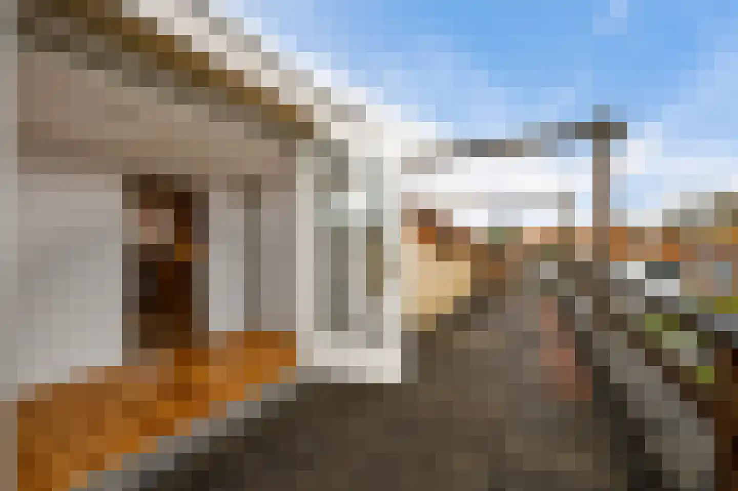 Rozenboomlaan 32 Voorburg thumbnail 23