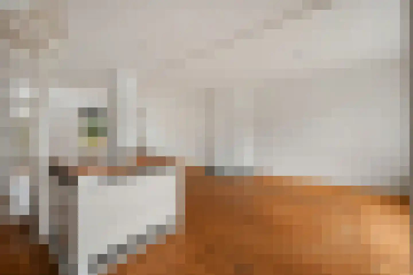 Rozenboomlaan 32 Voorburg thumbnail 5