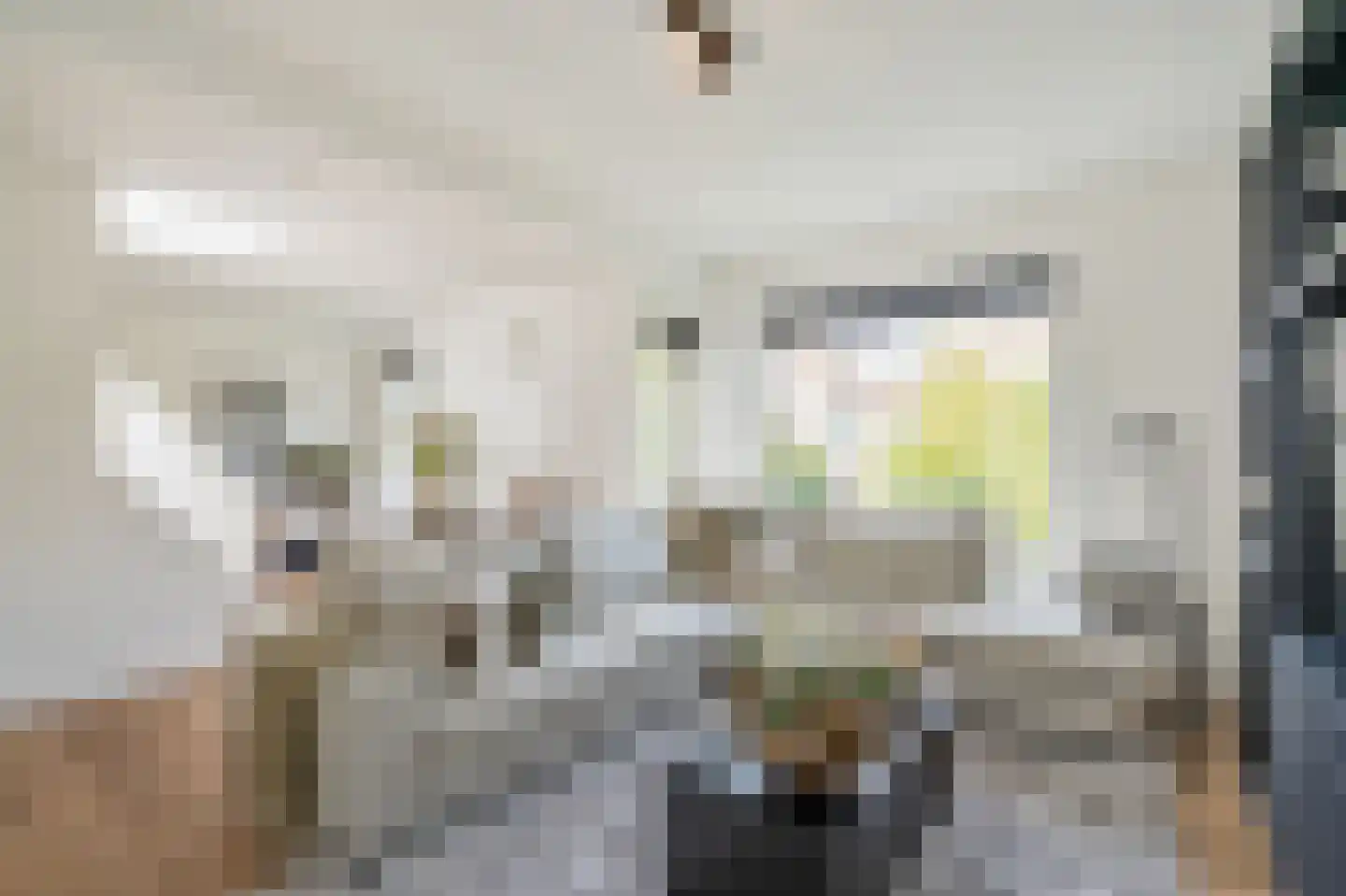 Rozenboomlaan 4 Voorburg thumbnail 10
