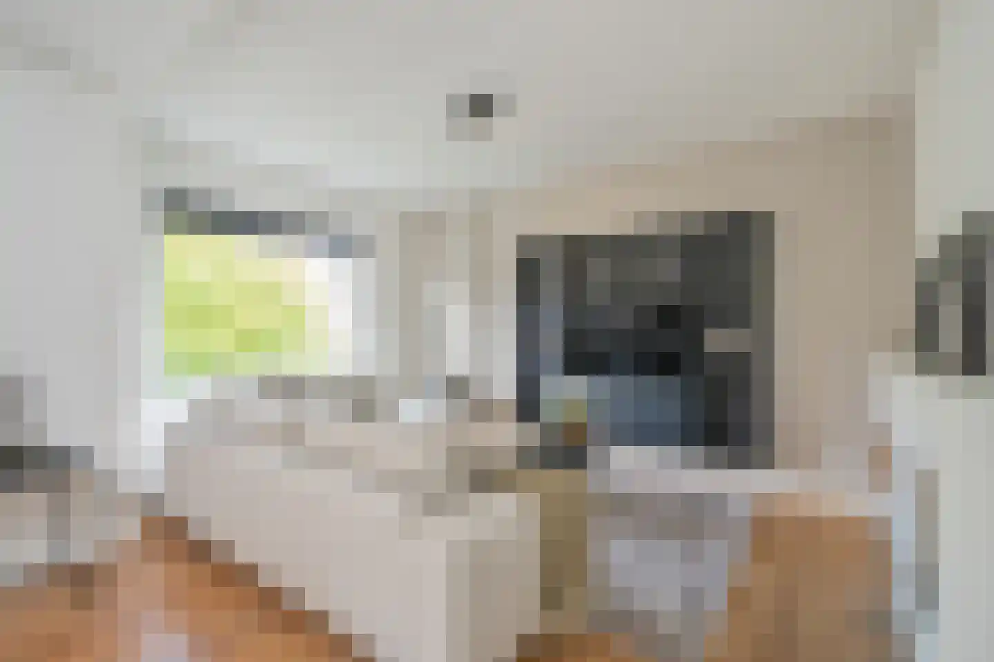Rozenboomlaan 4 Voorburg thumbnail 11
