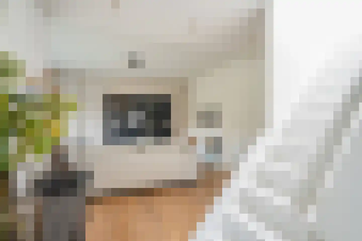 Rozenboomlaan 4 Voorburg thumbnail 12