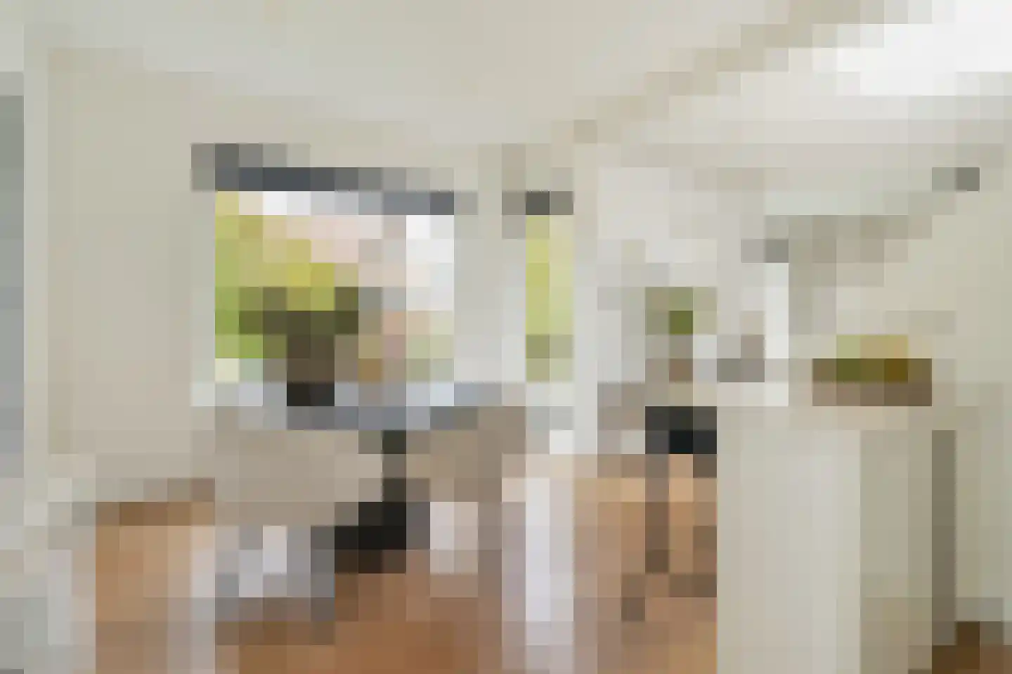 Rozenboomlaan 4 Voorburg thumbnail 14