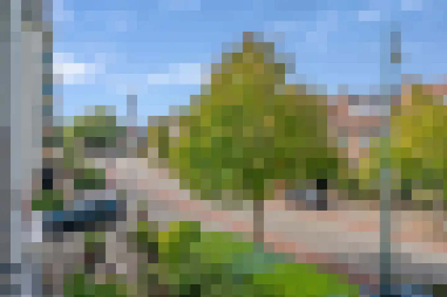 Rozenboomlaan 4 Voorburg thumbnail 21