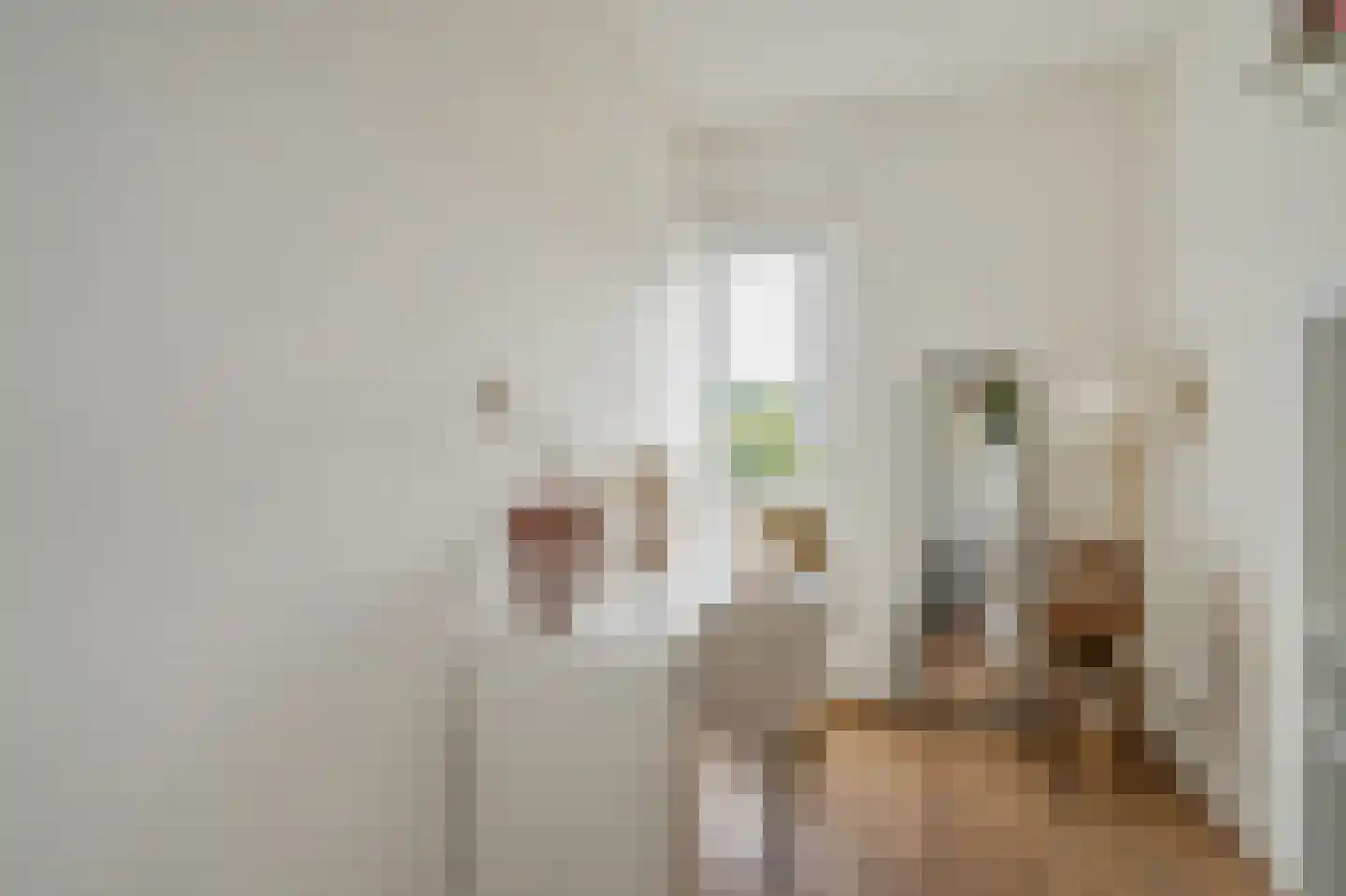 Rozenboomlaan 4 Voorburg thumbnail 26