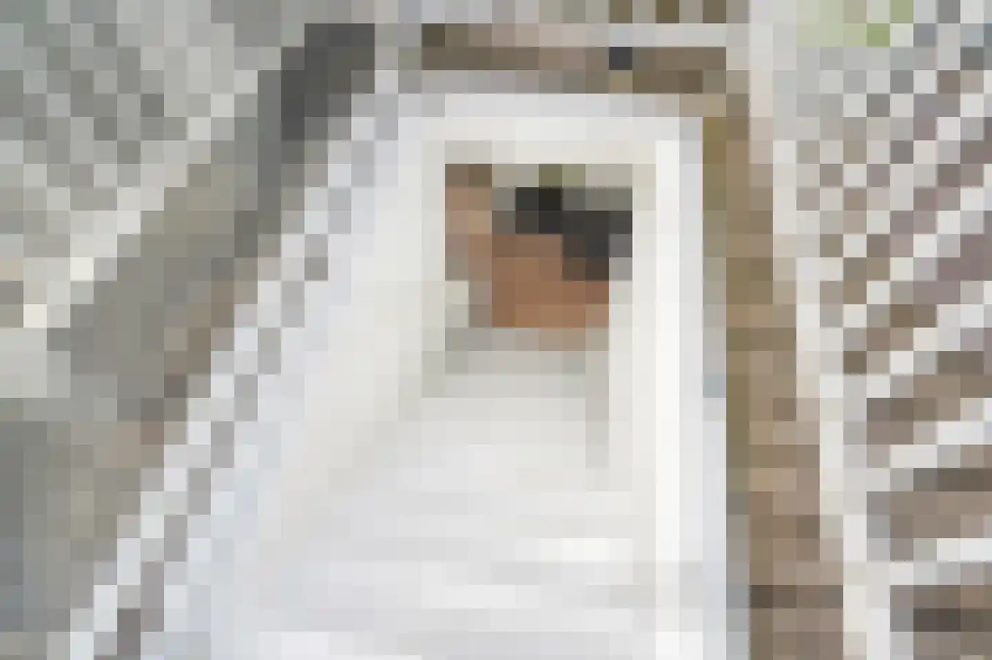 Rozenboomlaan 4 Voorburg thumbnail 33
