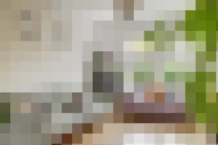 Rozenboomlaan 42 Voorburg thumbnail 13
