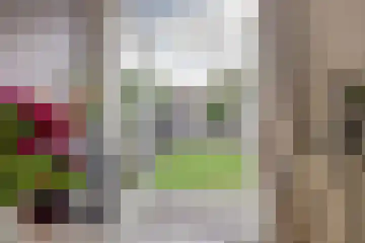 Rozenboomlaan 42 Voorburg thumbnail 18