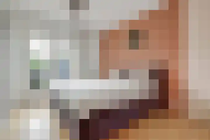 Rozenboomlaan 42 Voorburg thumbnail 21